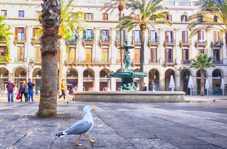 romantic-restaurant-barcelona